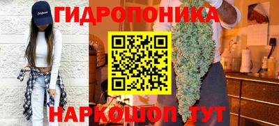 гашик Краснодар